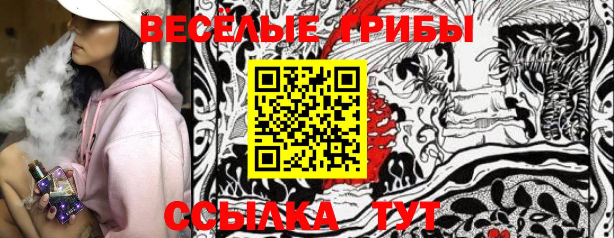 Псилоцибиновые грибы GOLDEN TEACHER Владимир