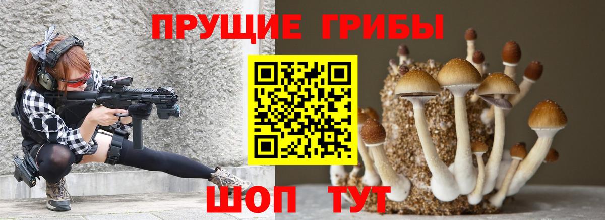 Владимир  купить наркотики цена  Вход с VPN  Галлюциногенные грибы MAGIC MUSHROOMS  Галлюциногенные грибы мухоморы 